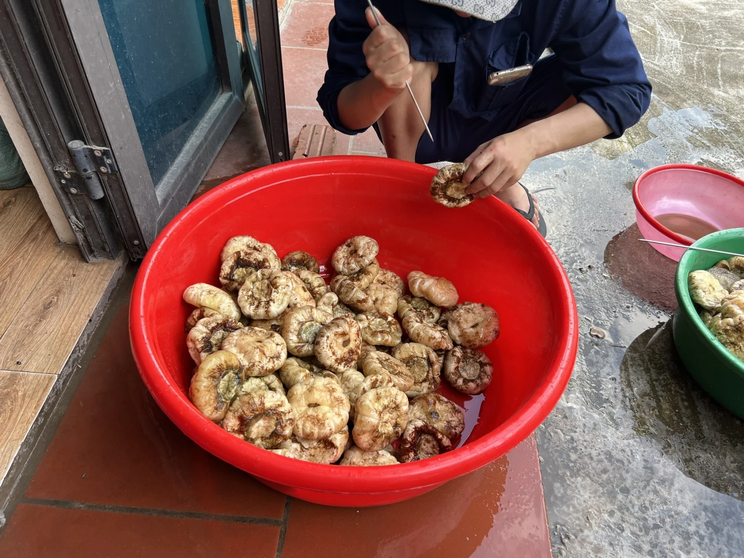 Cà dầm tương là gì? Để được bao lâu? Giá và địa chỉ mua?