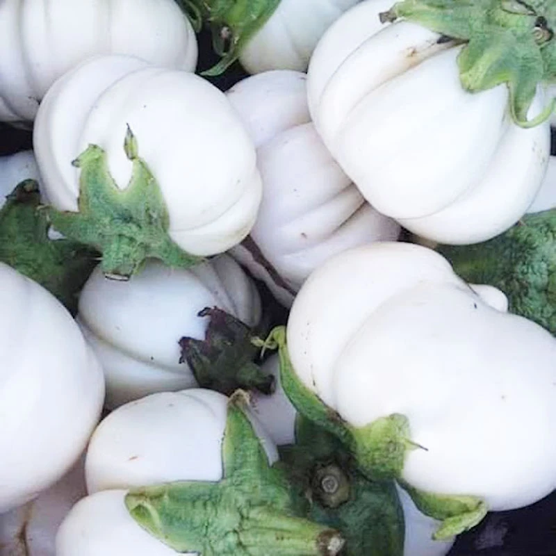 Cà Bát - nguyên liệu chính của món cà dầm tương tiến vua độc đáo