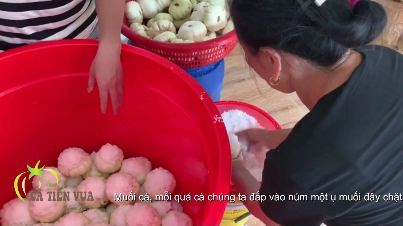 Cách làm cà dầm tương truyền thống xưa