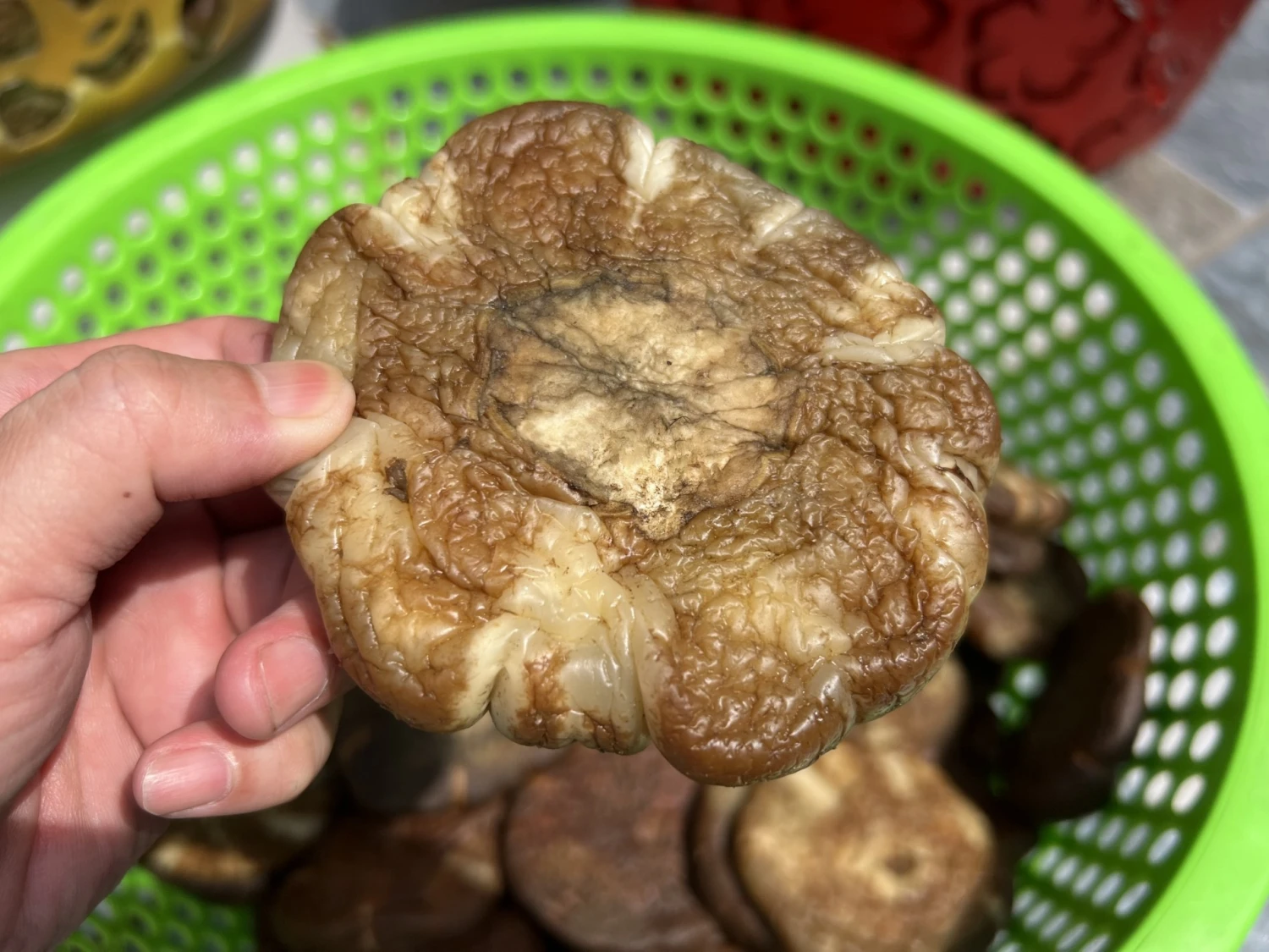 Cà dầm tương và tương lai của ẩm thực Việt Nam