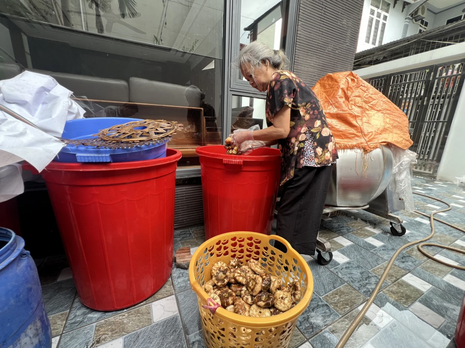 Giới thiệu về cà dầm tương