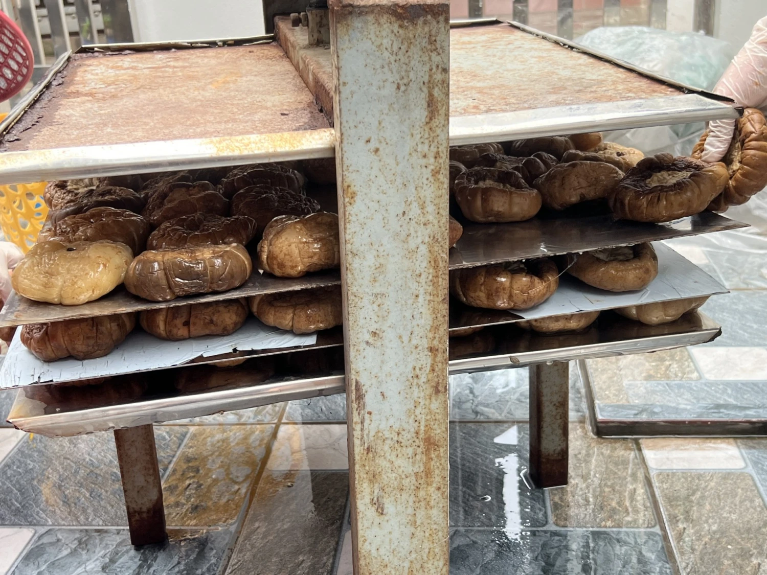 Ký ức tuổi thơ về cà dầm tương